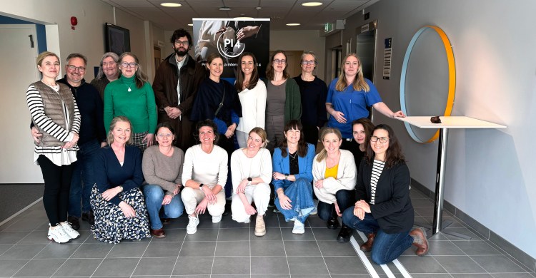 Vad föreningen gjort under sitt tredje&nbsp;år